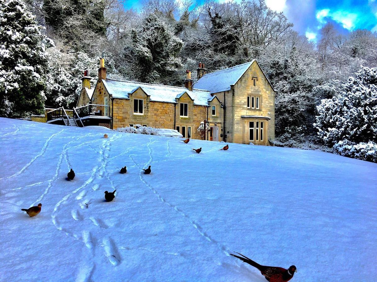 Mulgrave Country Cottage 샌즈엔드 외부 사진